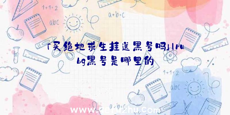 「买绝地求生挂送黑号吗」|pubg黑号是哪里的